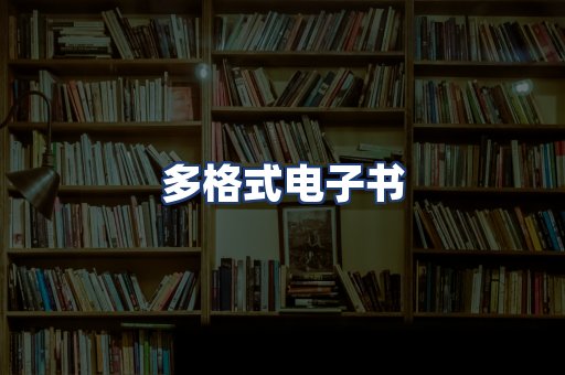 多格式电子书